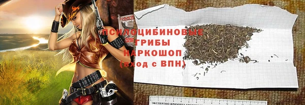 дживик Заводоуковск