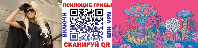 Купить закладки  Воскресенск  Псилоцибиновые грибы Psilocybe 